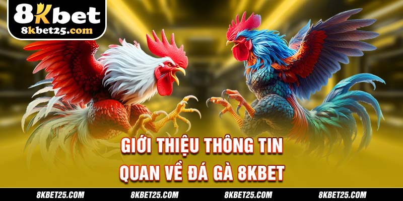 Tìm hiểu thông tin tổng quan về sảnh game đá gà 8KBET