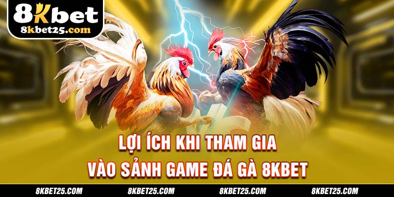 Lợi ích khi tham gia vào sảnh game đá gà 8KBET