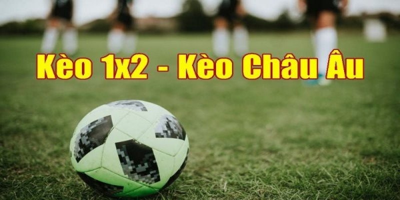 Cược kèo châu Âu tại nhà cái