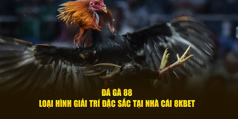 Đá gà 88 loại hình giải trí đặc sắc tại 8KBET