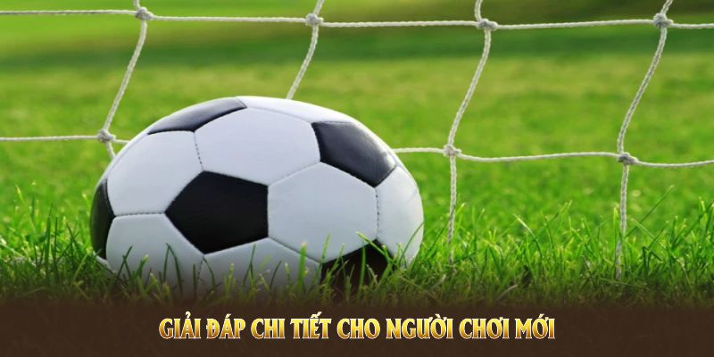 Kèo rung là gì? Giải đáp cụ thể cho người mới tham gia 